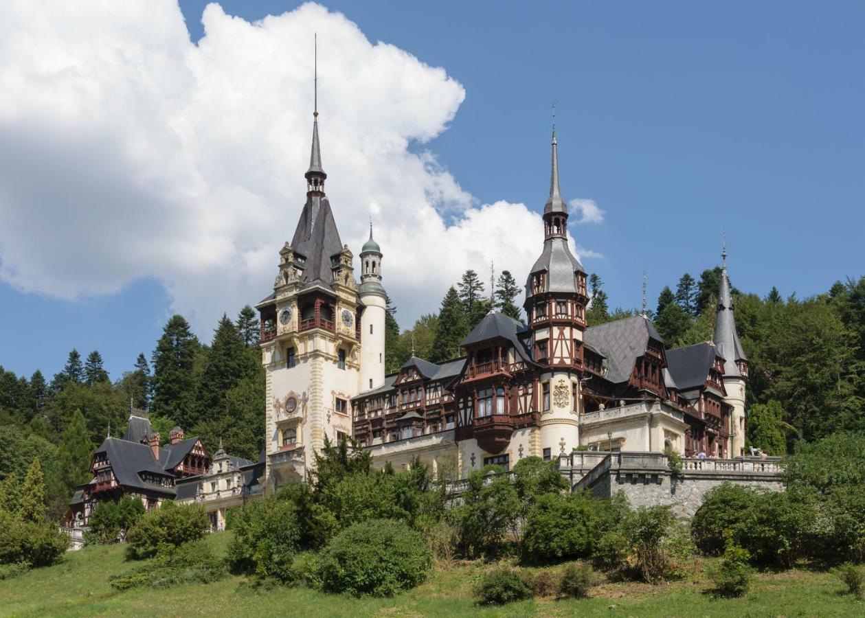 Apartament Mont Blanc Синая Екстериор снимка